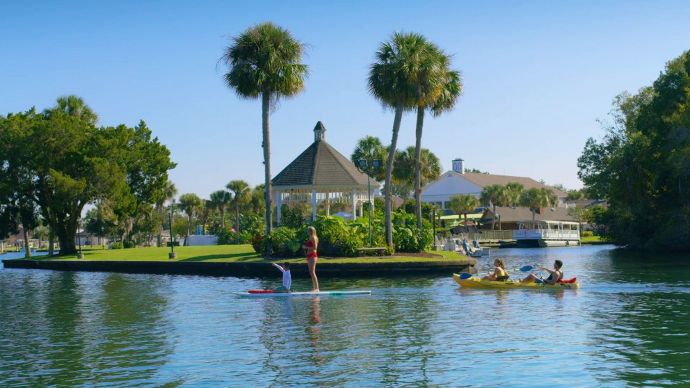 people paddleboarding